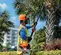 Sierra para poste para podador eléctrico, 7 ft – 11.6 ft STIHL naranja, negra y blanca de alcance, a gasolina