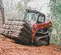 Cargador sobre orugas Takeuchi rojo