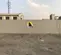 Cubo de 40 ft de alto