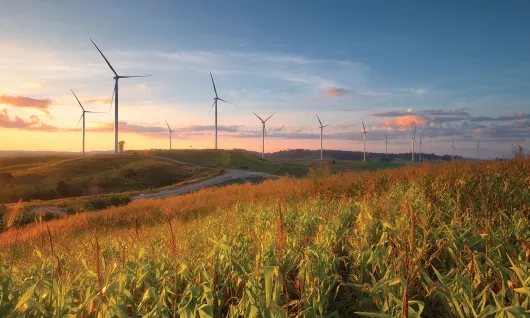 Imagen destacada de servicios ambientales (molinos de viento)
